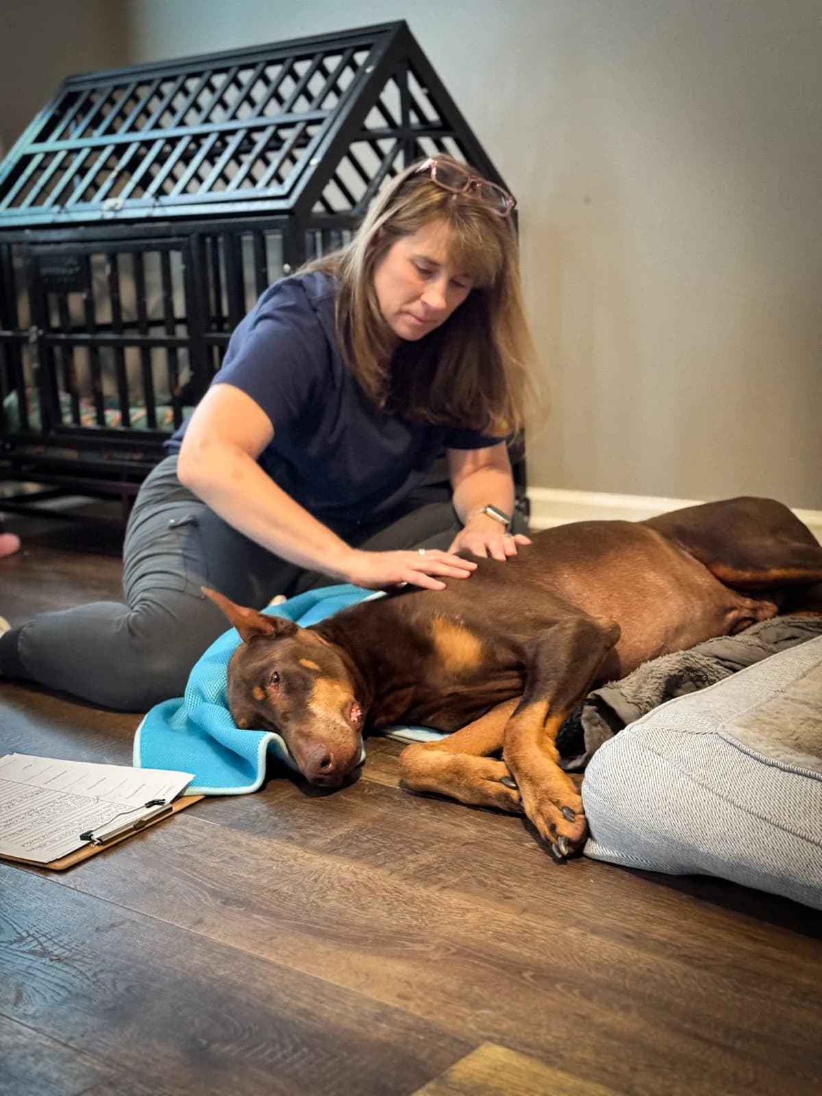 Dogworks Canine Massage Therapy LLC photo 3