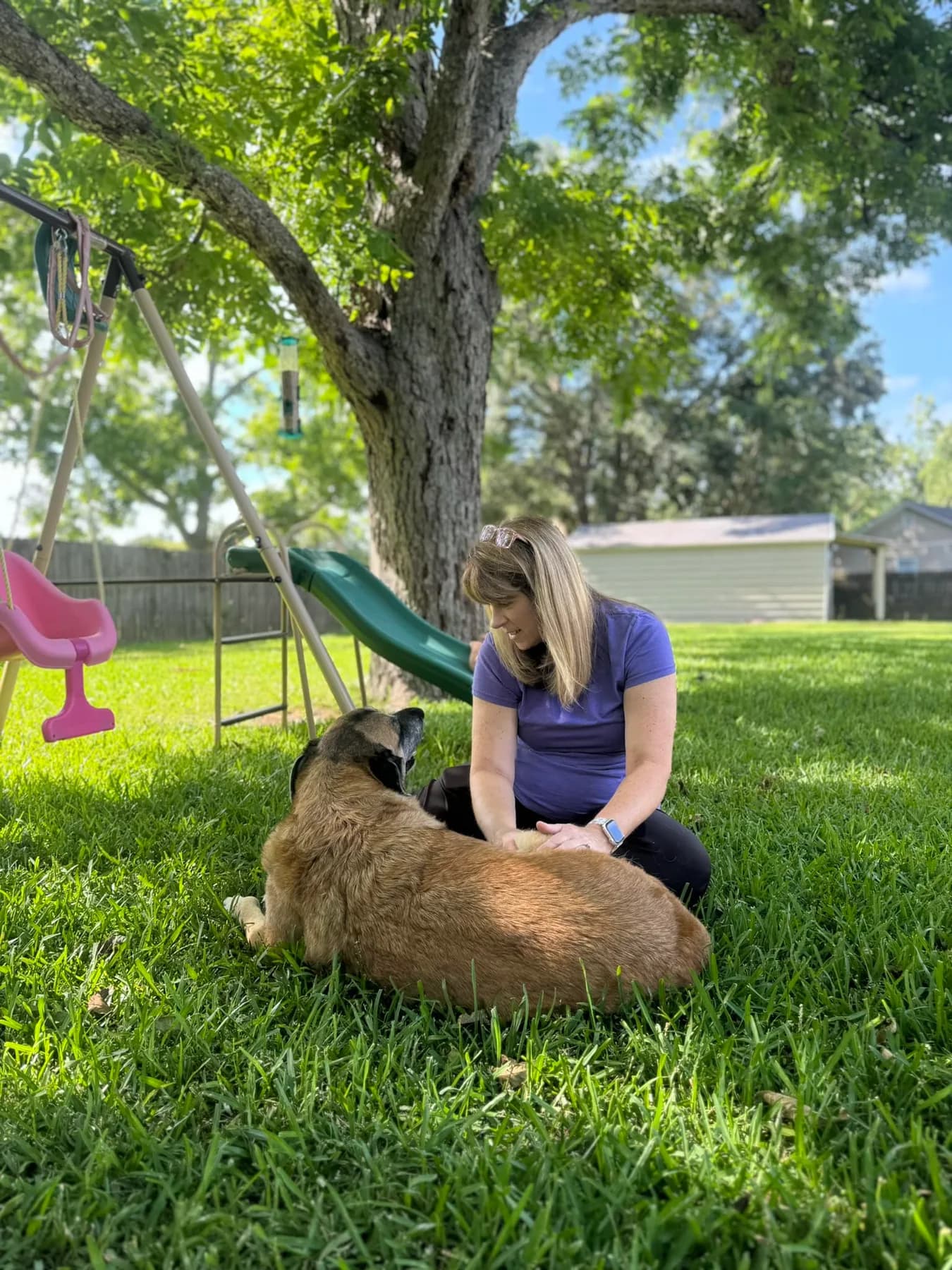 Dogworks Canine Massage Therapy LLC photo 4