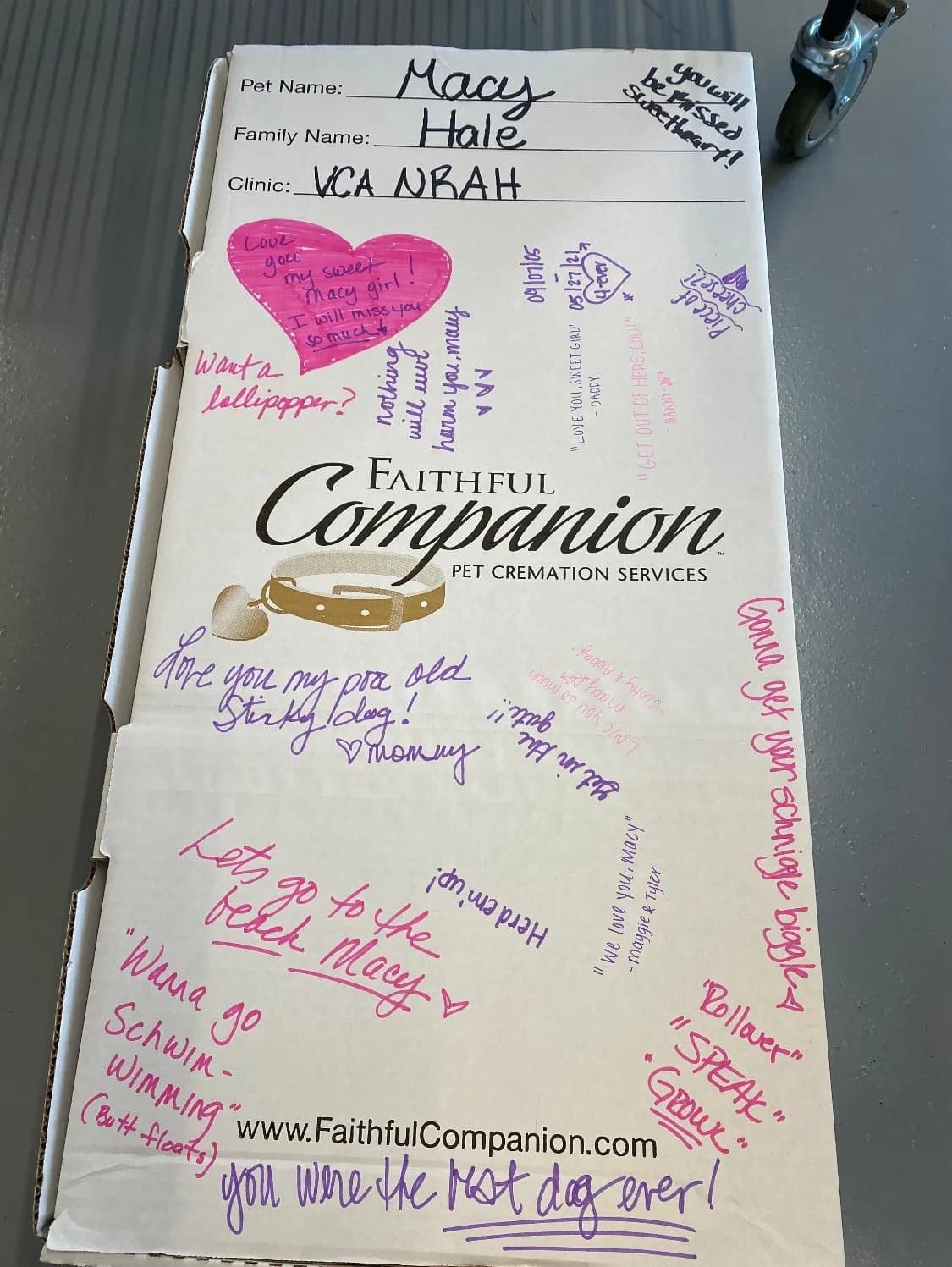 Faithful Companion Pet Cremation photo 1
