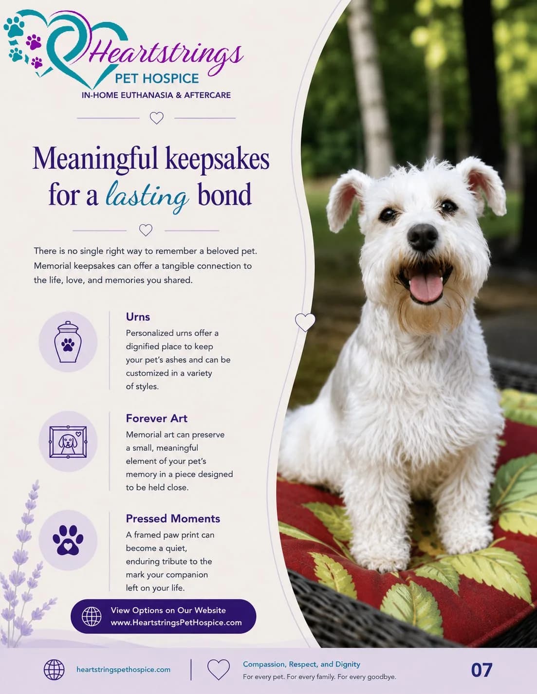 Heartstrings Pet Hospice & In-Home Euthanasia, Northern Virginia photo 4