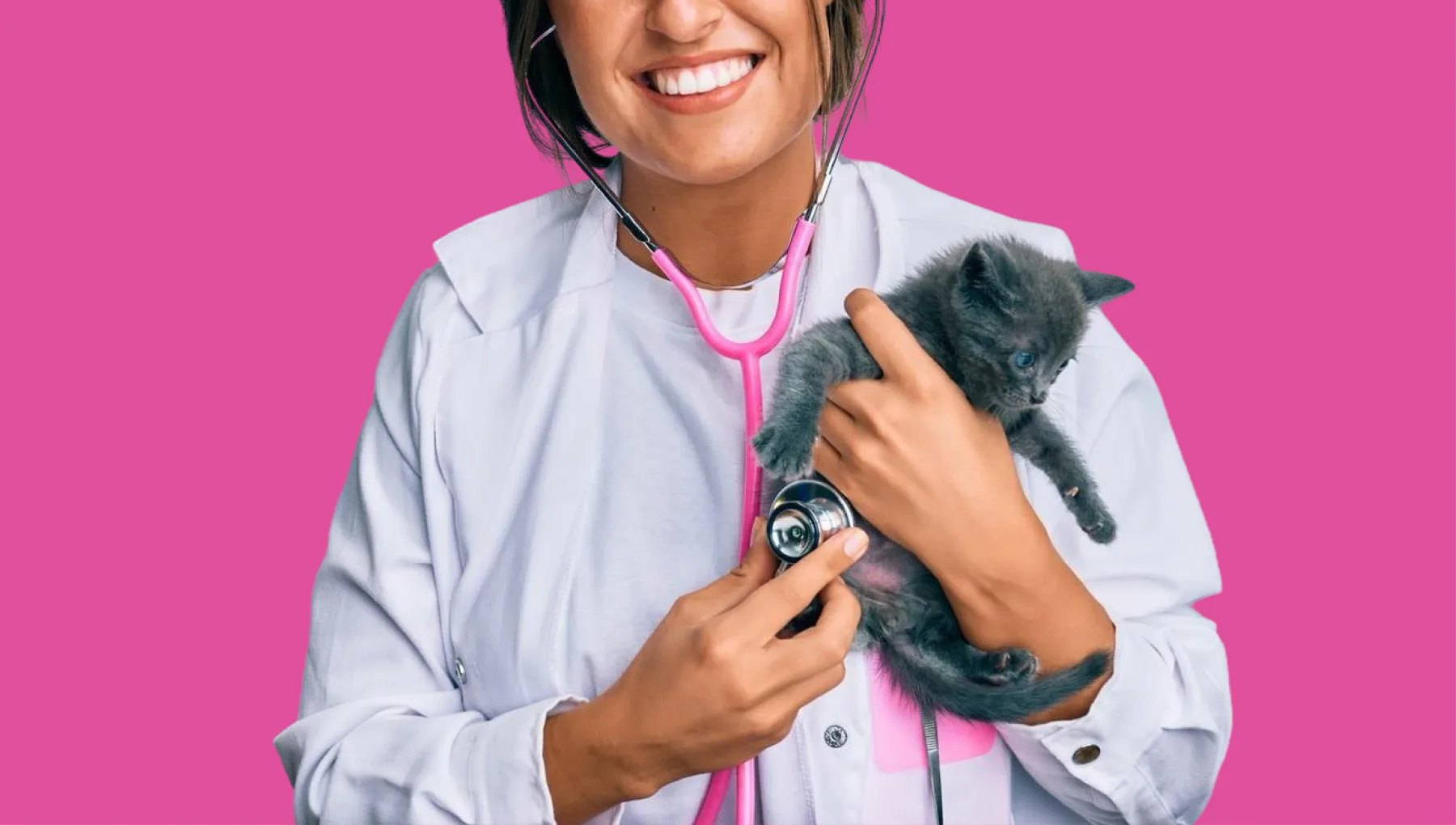 Ikare Mobile Vet photo 2
