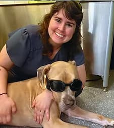 Innovative Veterinary Medicine photo 1