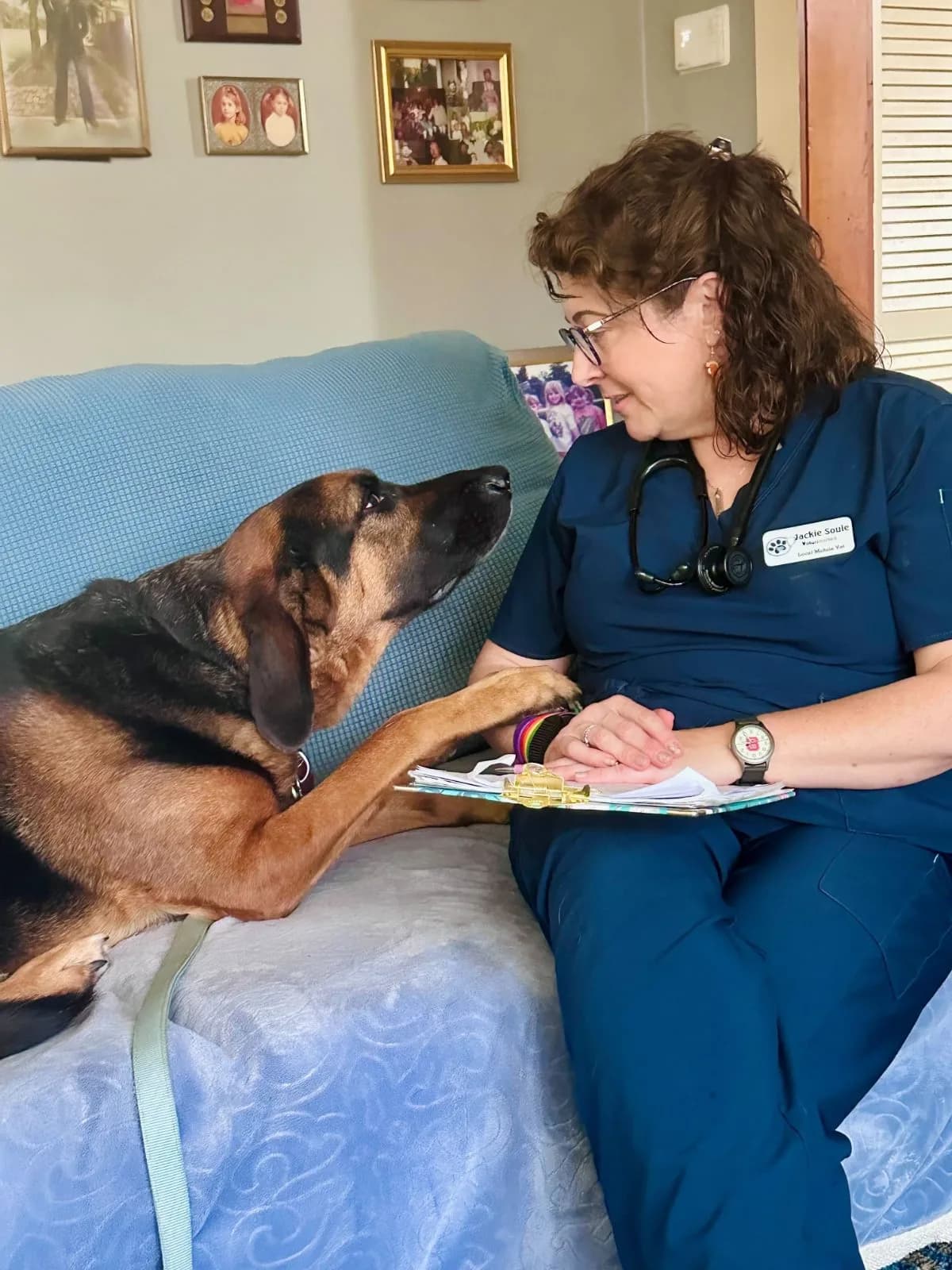 Local Mobile Veterinary Service photo 2