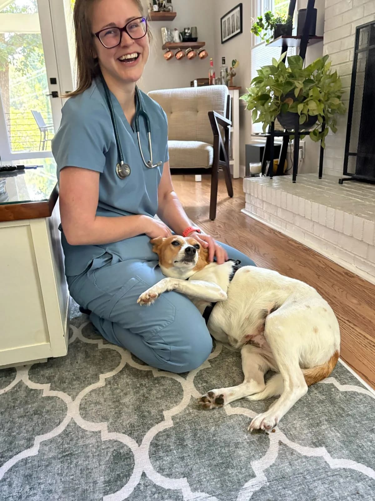 Local Mobile Veterinary Service photo 4