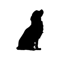 Shanna Parker Intuitive logo